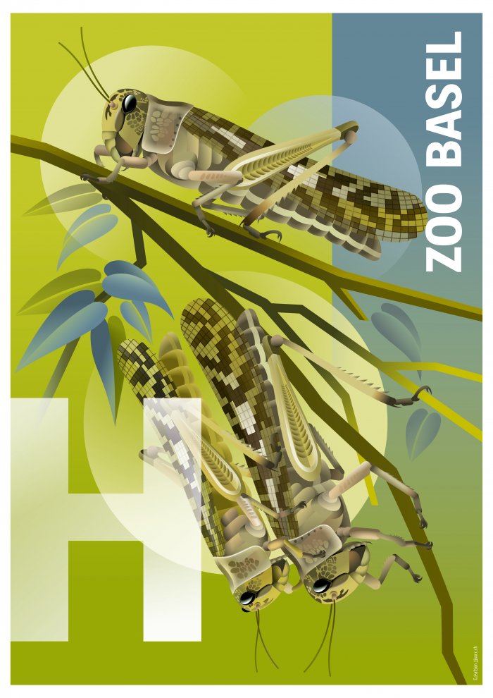 Poster Serie Zoo Basel H–K